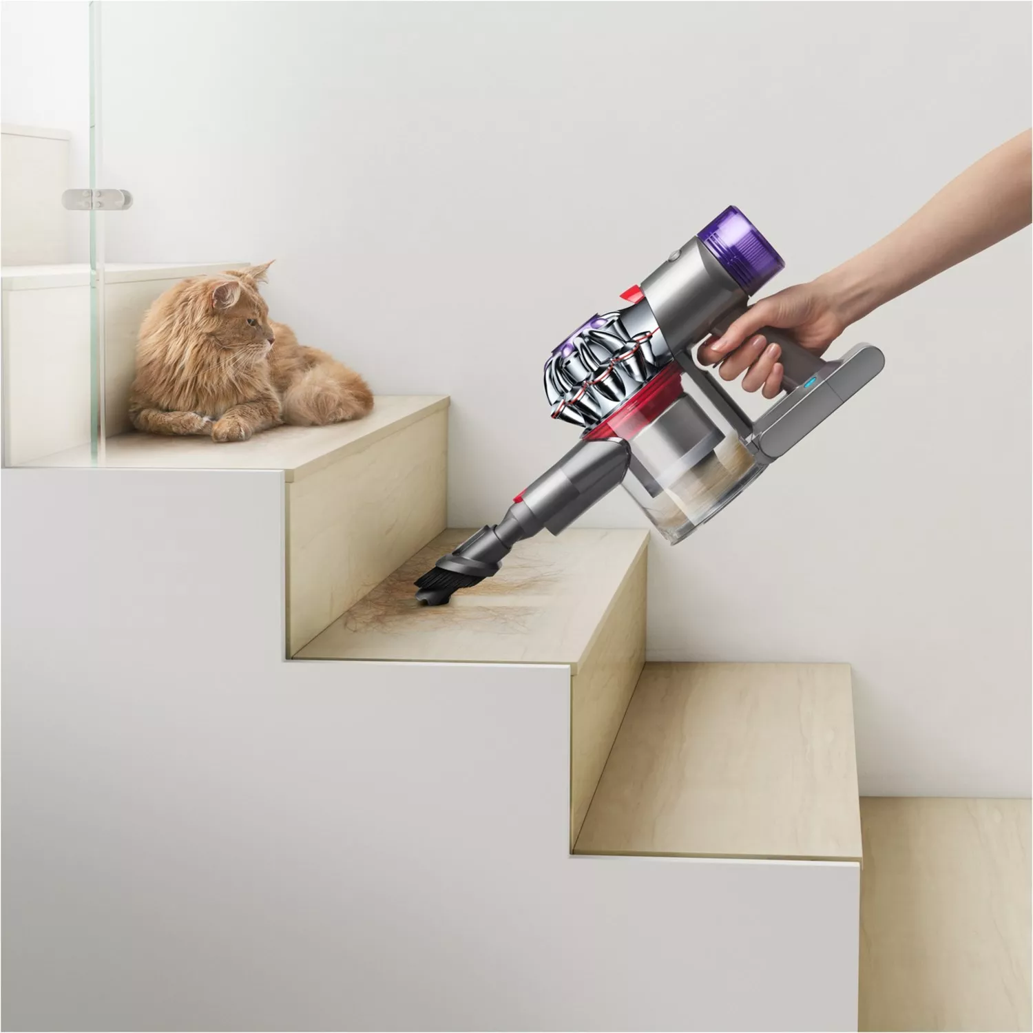 dyson_v8_abslt_22_3